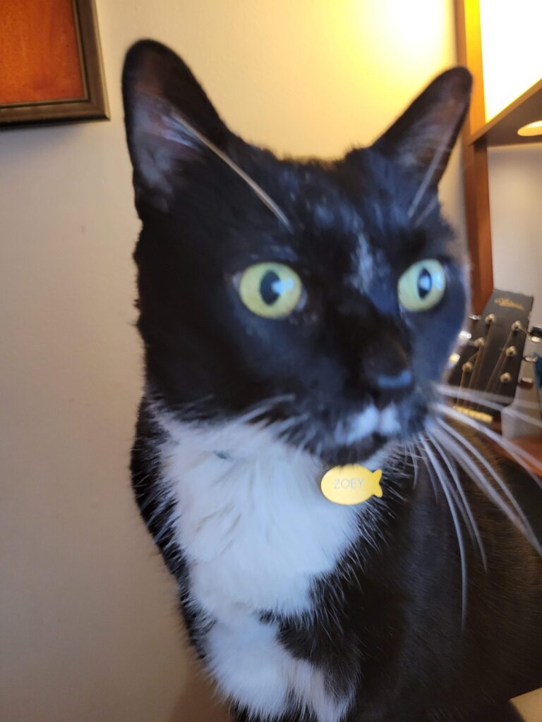 20220728_100339