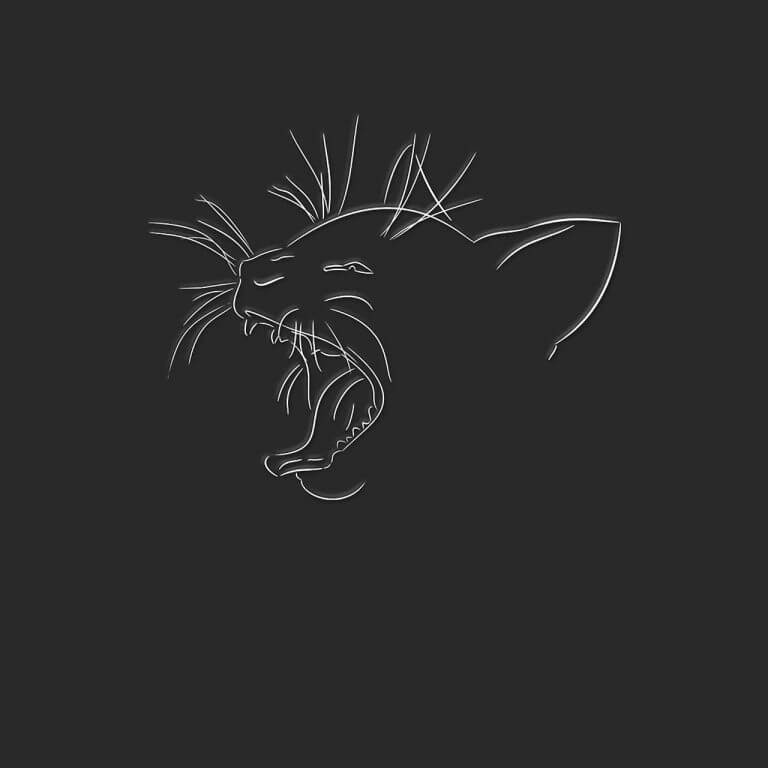 Drawing of a cat
