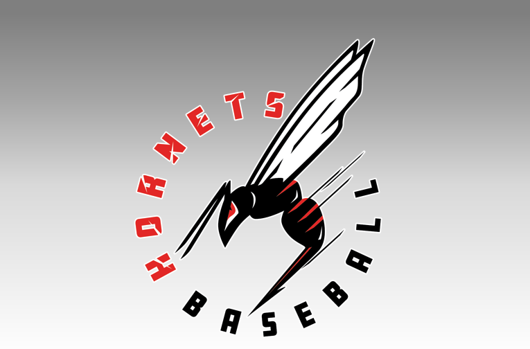 Hornets Travel Baseball