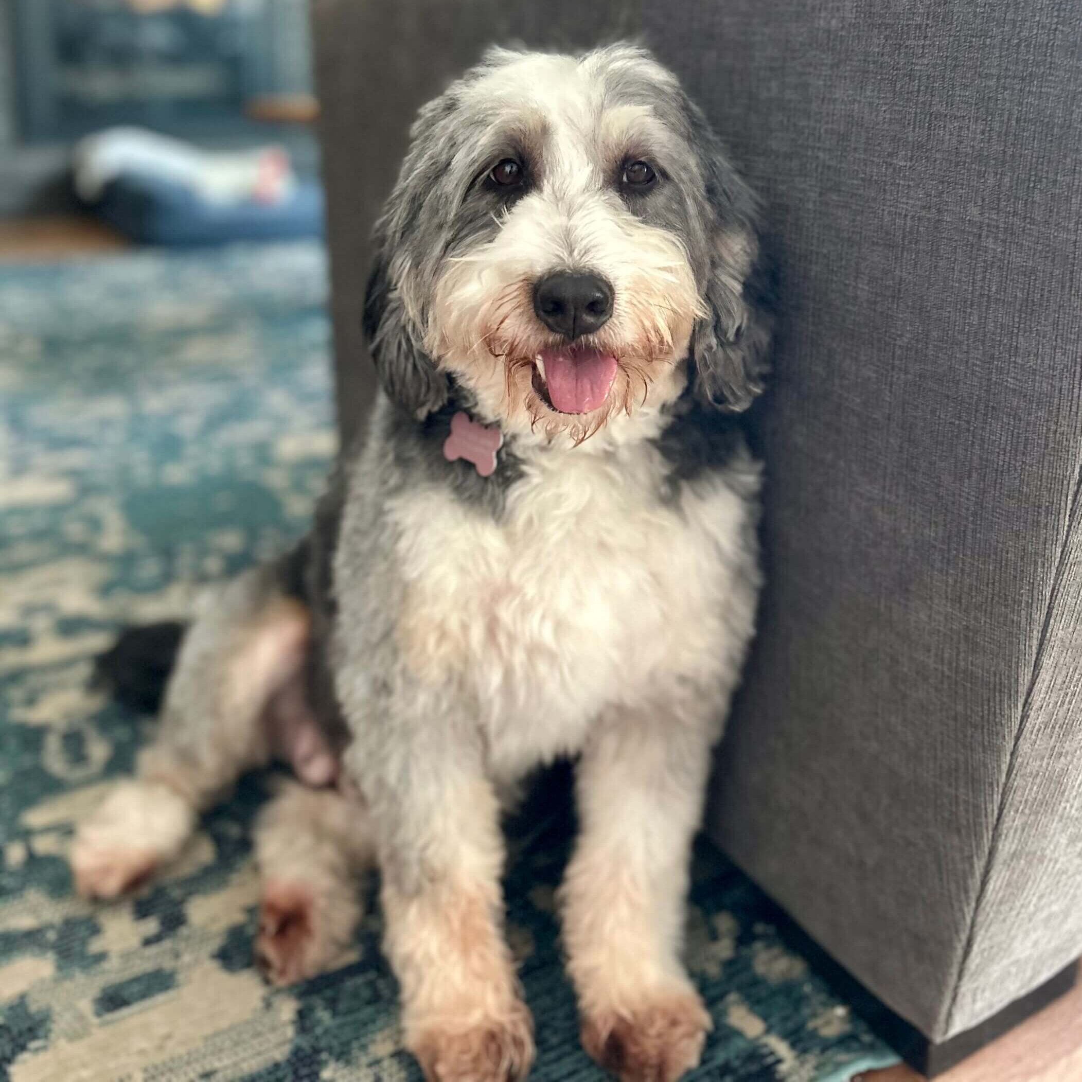 A very good girl