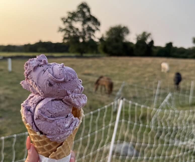 icecream